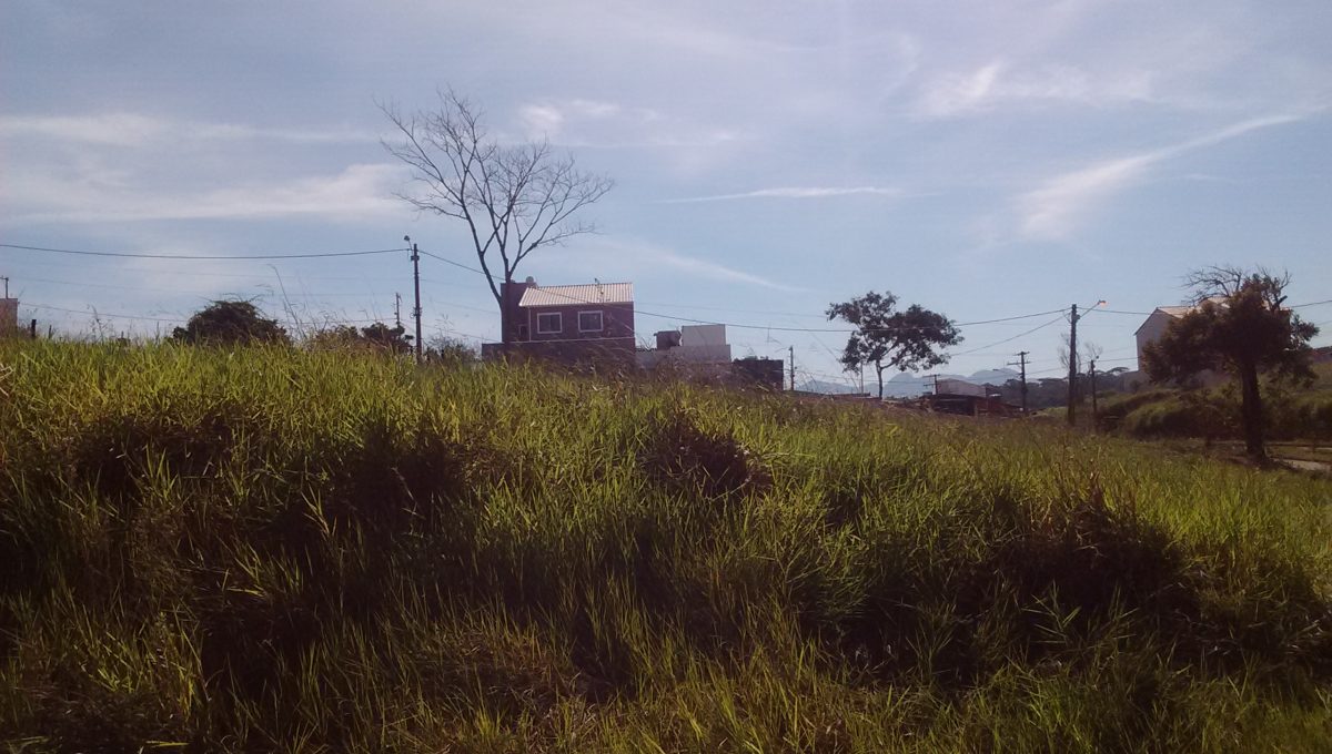 FOTO3