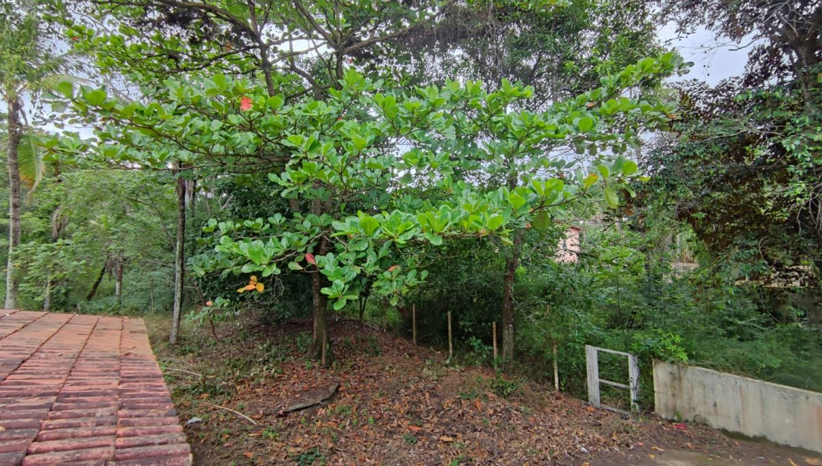 IMG-20240418-WA0009